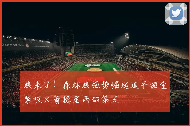 狼来了！森林狼强势崛起追平掘金紧咬火箭稳居西部第五